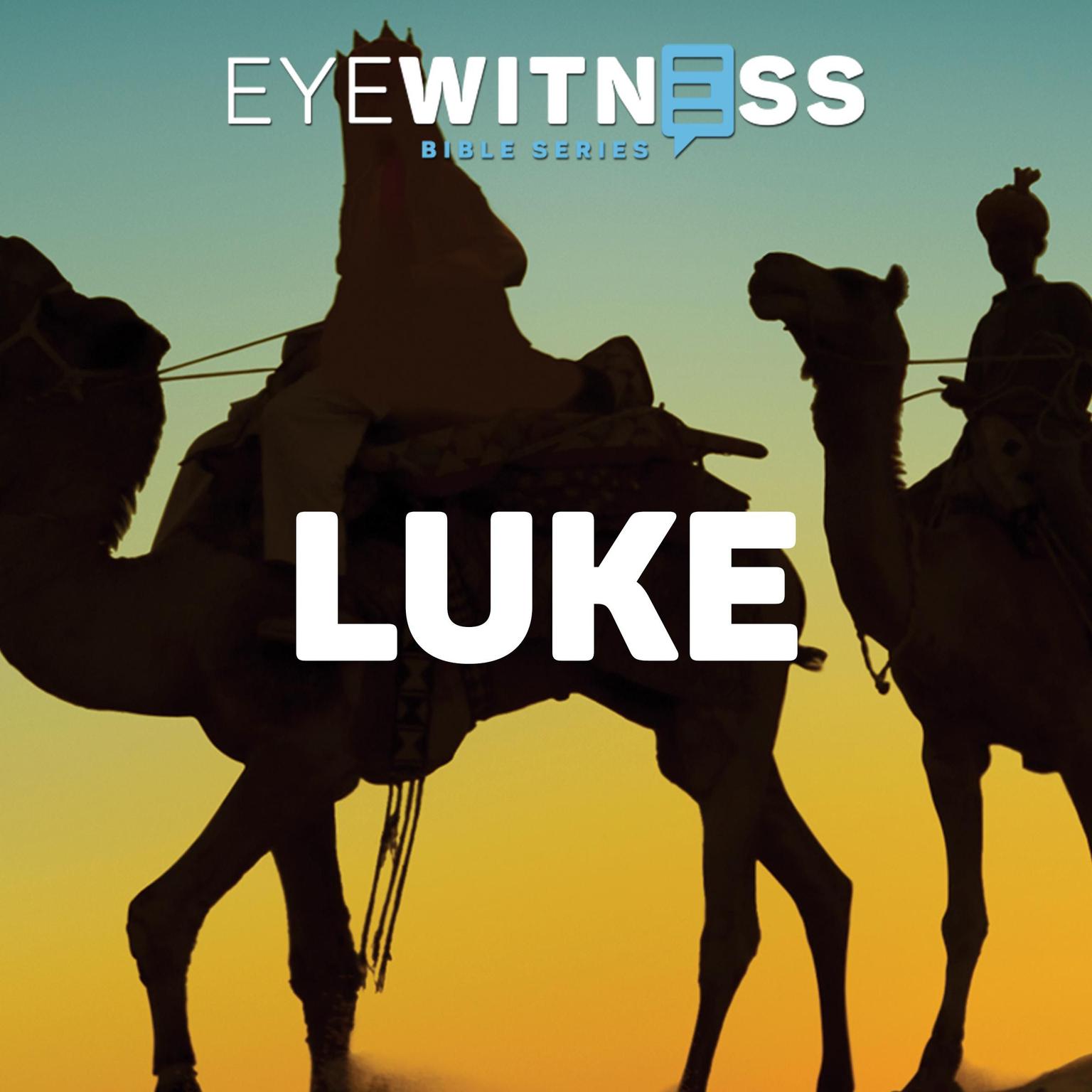 Eyewitness Bible Series: Luke Audiobook, by Christian History Institute