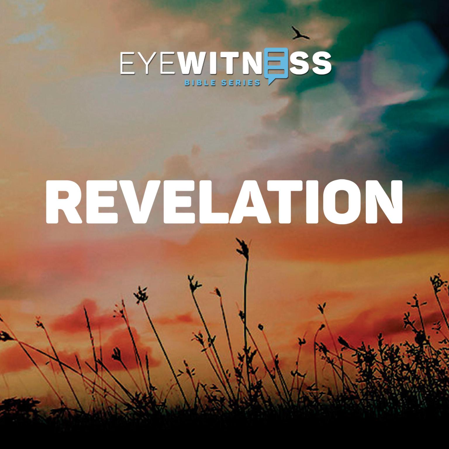 Eyewitness Bible Series: Revelation Audiobook, by Christian History Institute