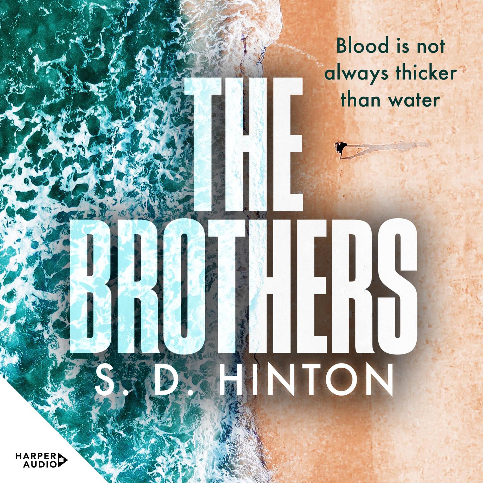 The Brothers Audiobook, by S.d. Hinton