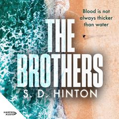 The Brothers Audiobook, by S.d. Hinton