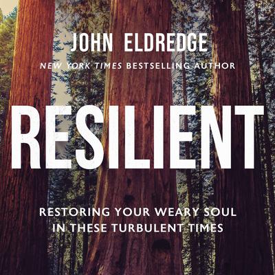 Resilient: Restoring Your Weary Soul in These Turbulent Times Audiobook, by John Eldredge