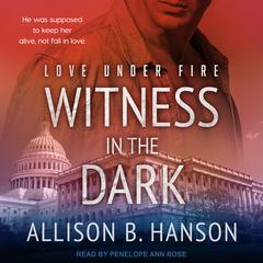 Witness in the Dark Audiobook, by Allison B. Hanson