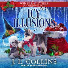 Icy Illusions Audiobook, by JL Collins