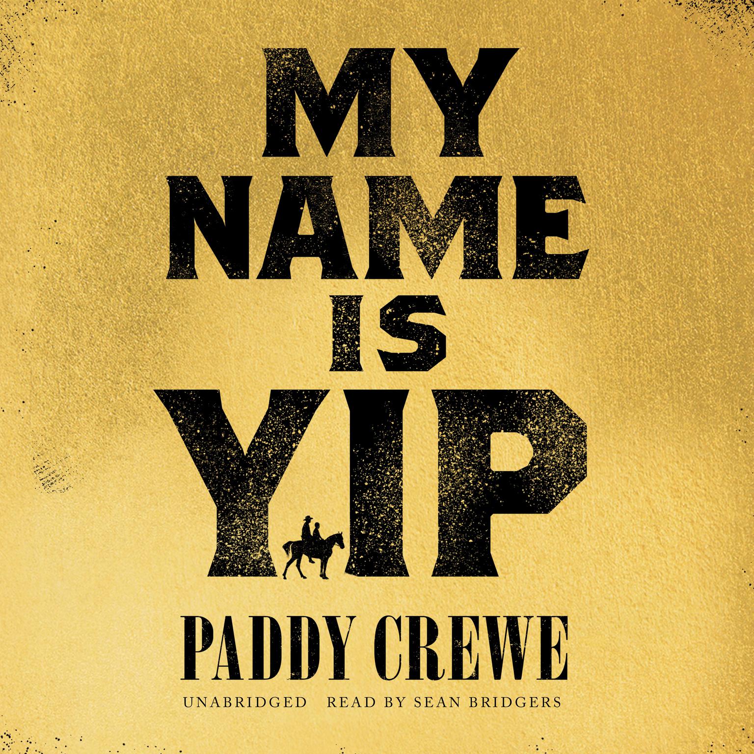 My Name Is Yip: A Novel Audiobook, by Paddy Crewe