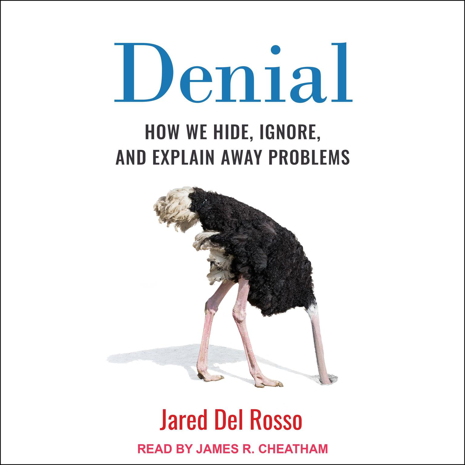 Denial: How We Hide, Ignore, and Explain Away Problems Audiobook, by Jared Del Rosso