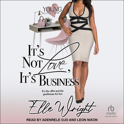 It’s Not Love, It’s Business Audiobook, by Elle Wright