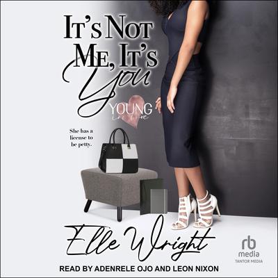 Its Not Me, Its You Audiobook, by Elle Wright