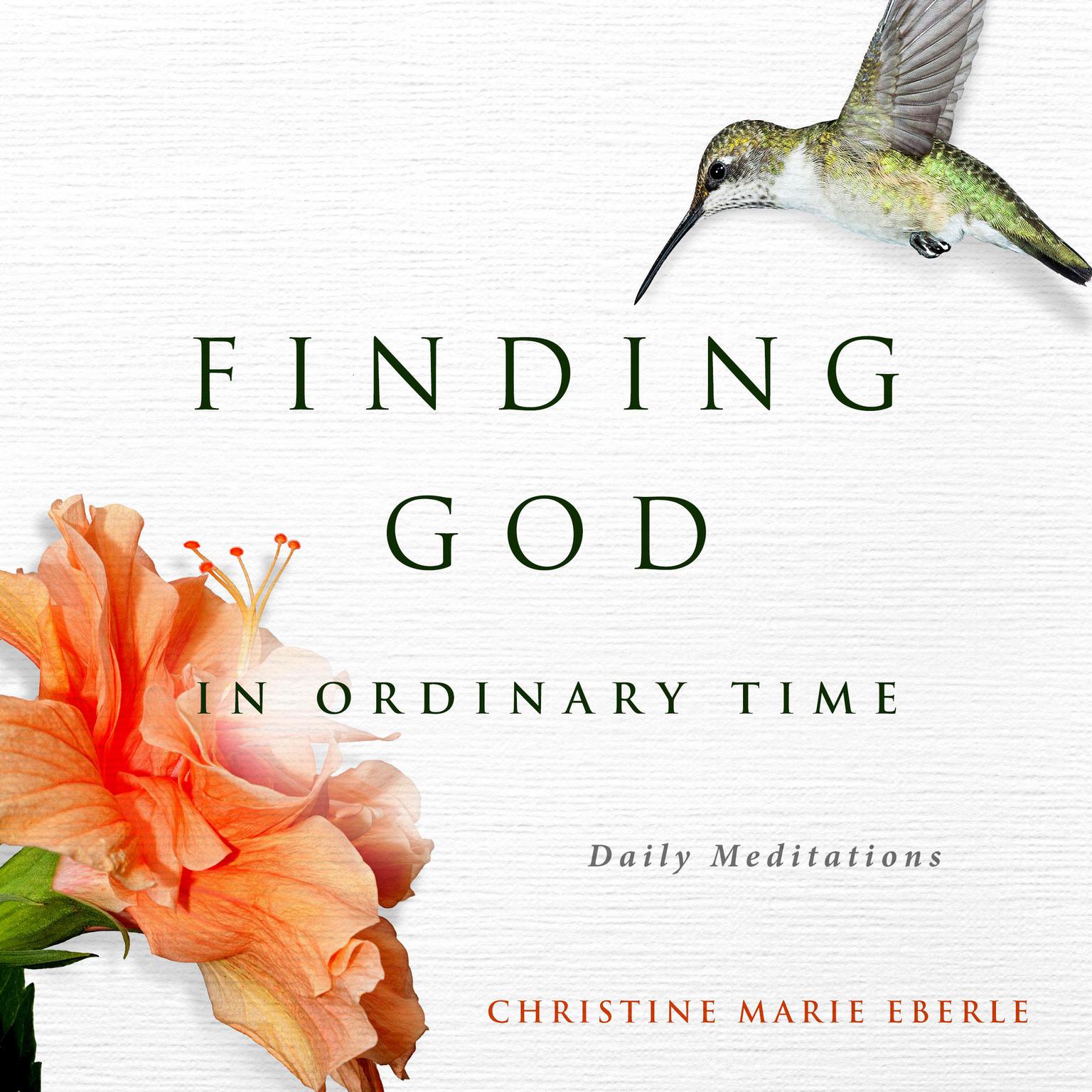 Finding God in Ordinary Time: Daily Meditations Audiobook, by Christine Marie Eberle