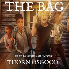The Bag Audiobook, by Thorn Osgood