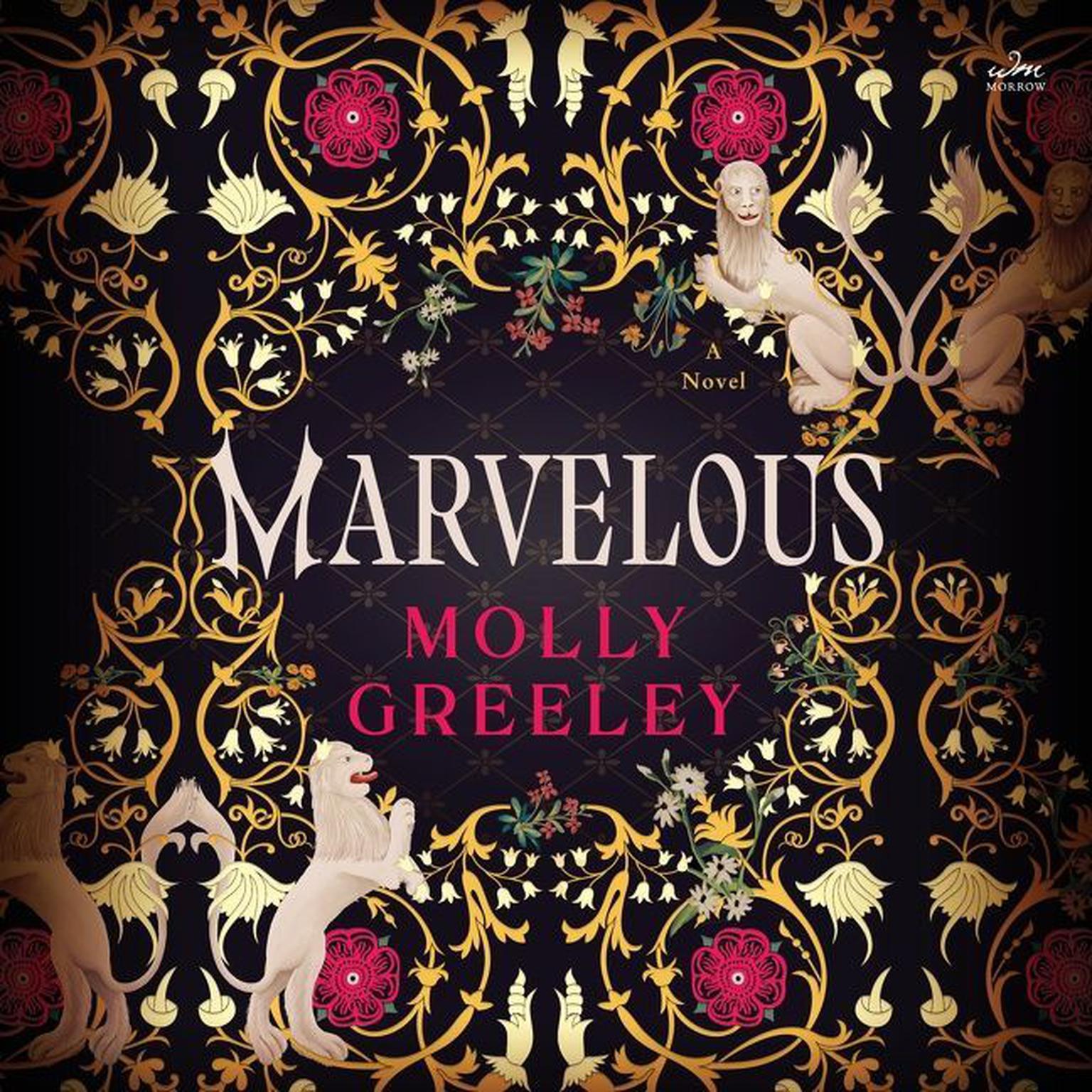 Marvelous: A Novel Audiobook, by Molly Greeley