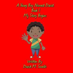 A Young Boy Named David Book 1: My Story Begins Audiobook, by David M. Smith