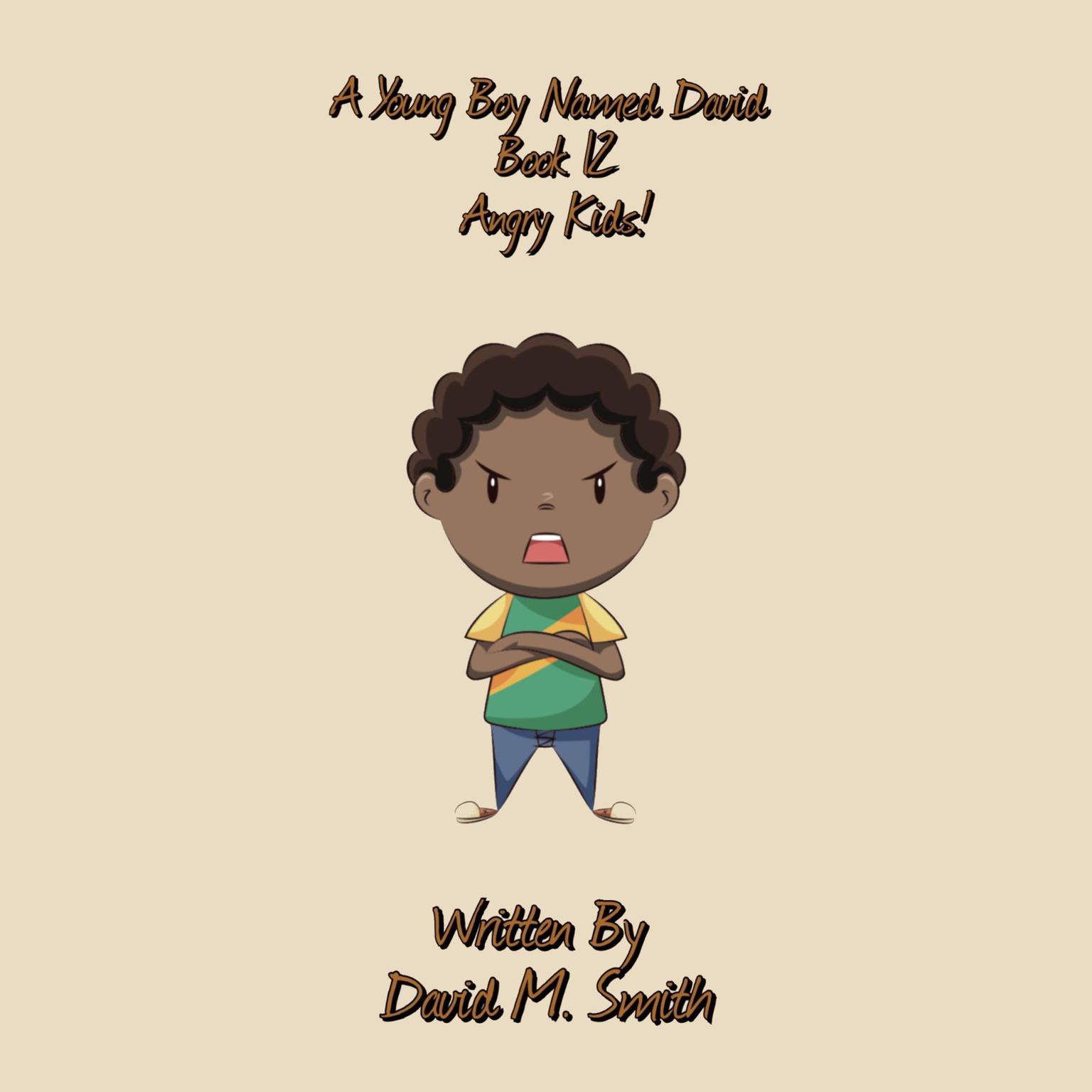 A Young Boy Named David Book 12: Angry Kids! Audiobook, by David M. Smith