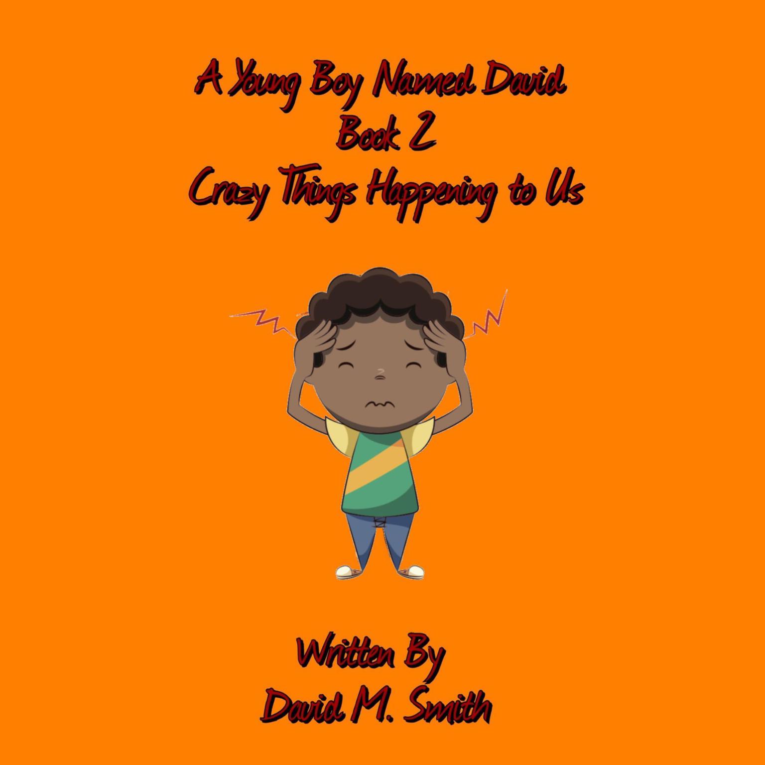 A Young Boy Named David Book 2: Crazy Things Happening to Us Audiobook, by David M. Smith