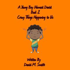 A Young Boy Named David Book 2: Crazy Things Happening to Us Audiobook, by David M. Smith