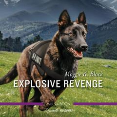 Explosive Revenge Audiobook, by 