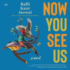 Now You See Us: A Novel Audiobook, by Balli Kaur Jaswal
