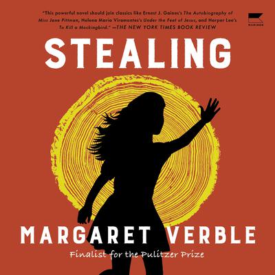 Stealing: A Novel Audiobook, by Margaret Verble
