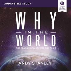 Why in the World: Audio Bible Studies: The Reason God Became One of Us Audiobook, by Andy Stanley