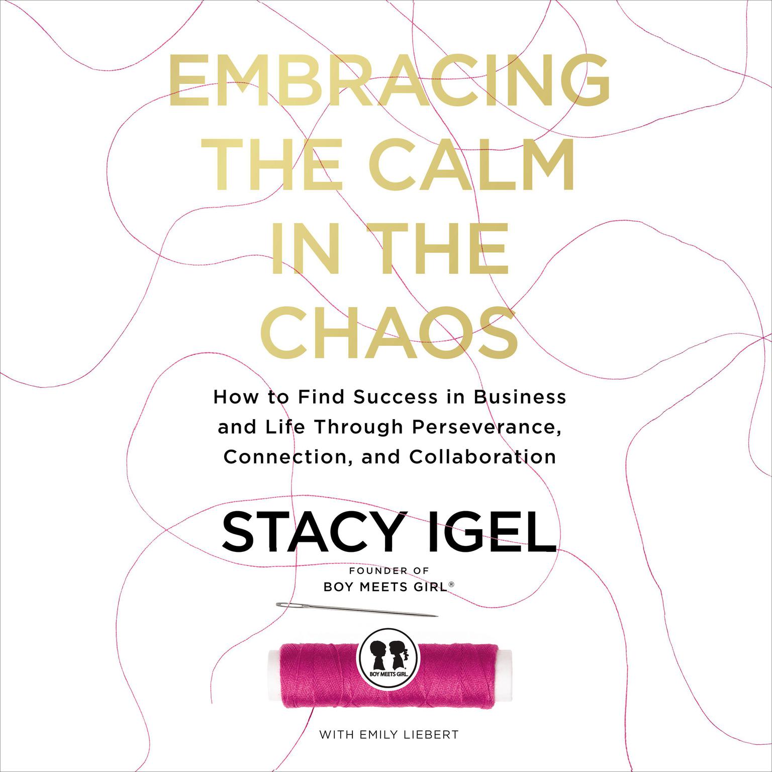 Embracing the Calm in the Chaos: How to Find Success in Business and Life Through Perseverance, Connection, and Collaboration Audiobook, by Stacy Igel