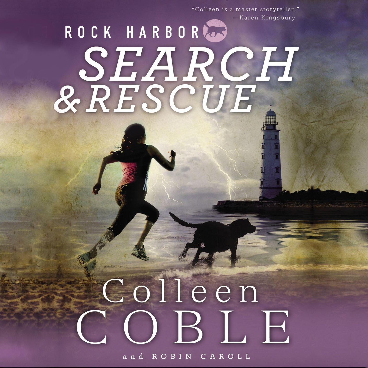 Rock Harbor Search and Rescue Audiobook, by Colleen Coble