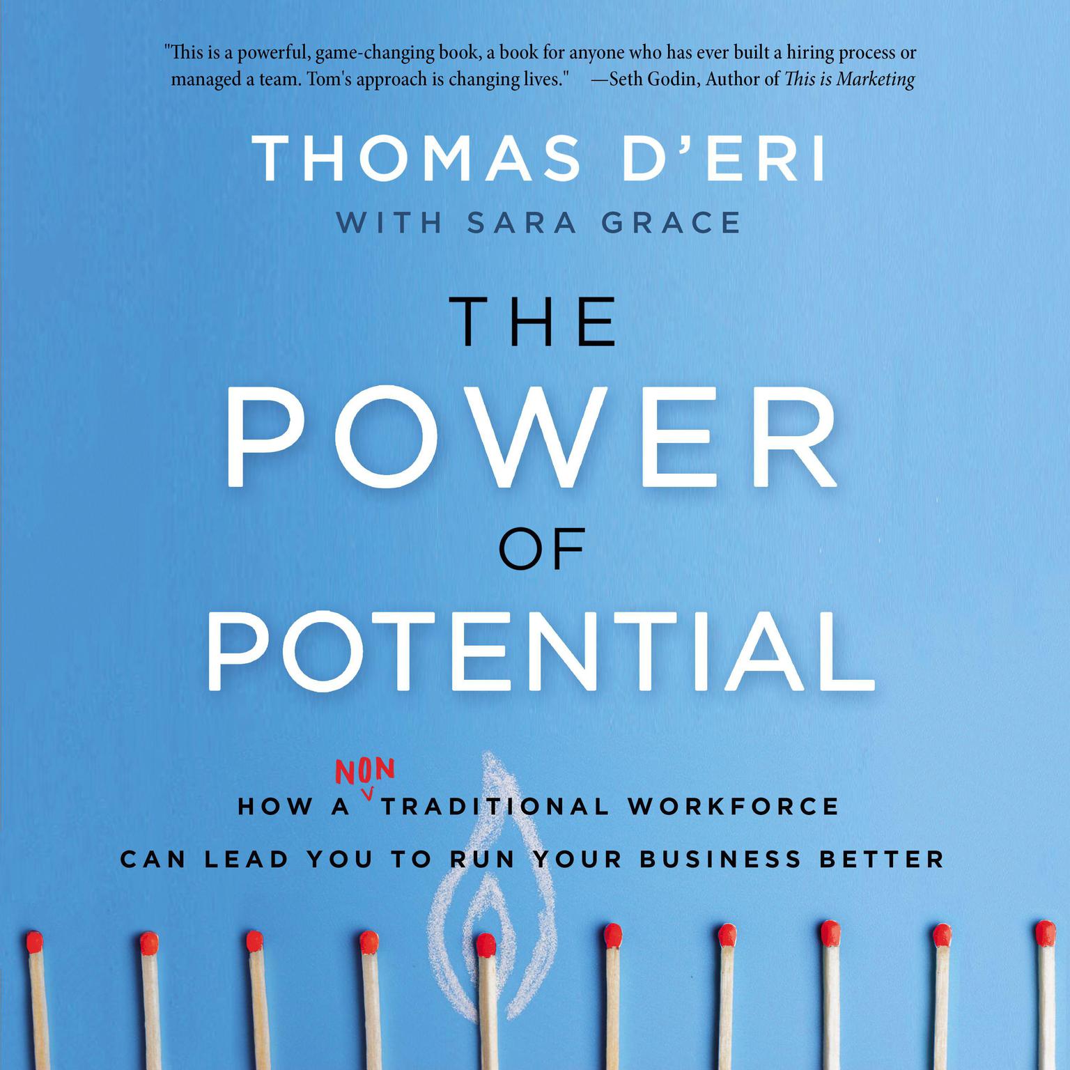 The Power of Potential: How a Nontraditional Workforce Can Lead You to Run Your Business Better Audiobook, by Tom D'Eri