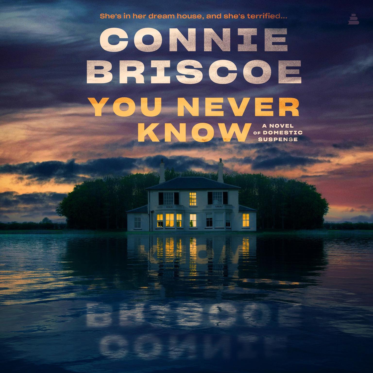 You Never Know: A Novel Audiobook, by Connie Briscoe