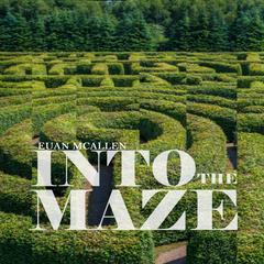 Into the Maze Audiobook, by Euan McAllen