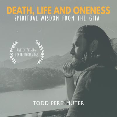 Death, Life and Oneness; Spiritual Wisdom From the Gita Audiobook, by Todd Perelmuter