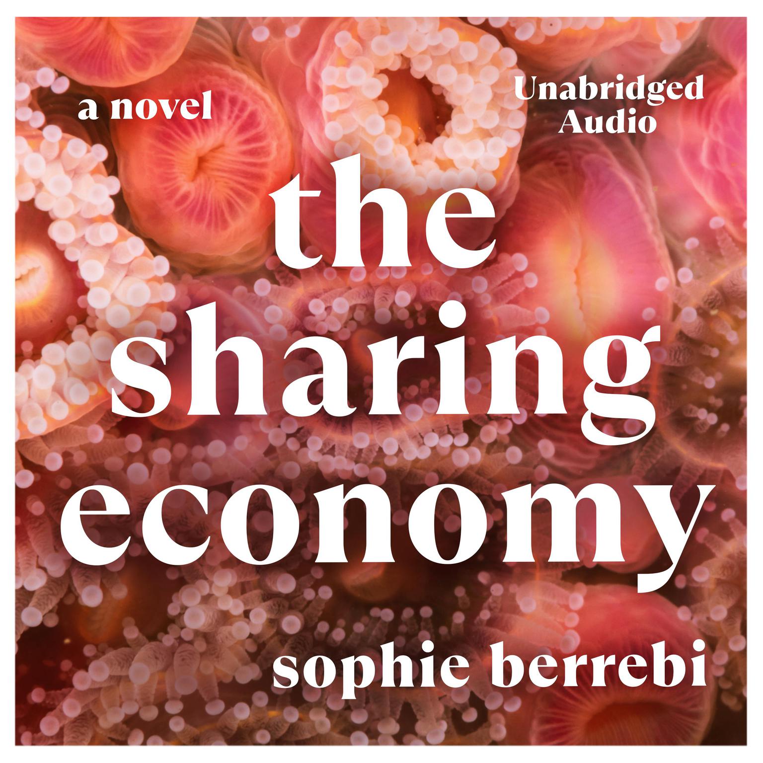 The Sharing Economy Audiobook, by Sophie Berrebi