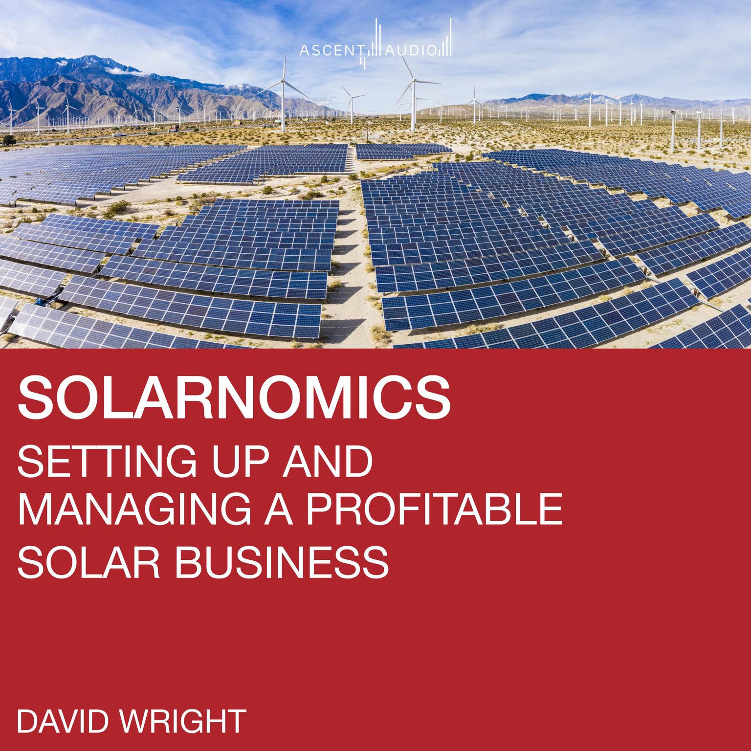 Solarnomics: Setting up and Managing a Profitable Solar Business Audiobook, by David Wright