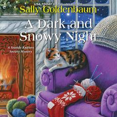 A Dark and Snowy Night Audiobook, by Sally Goldenbaum