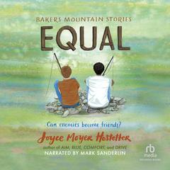 Equal Audiobook, by Joyce Moyer Hostetter