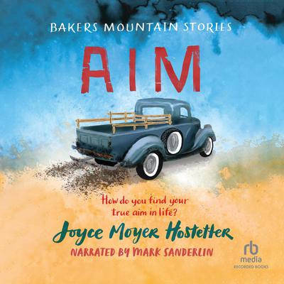 Aim Audiobook, by Joyce Moyer Hostetter