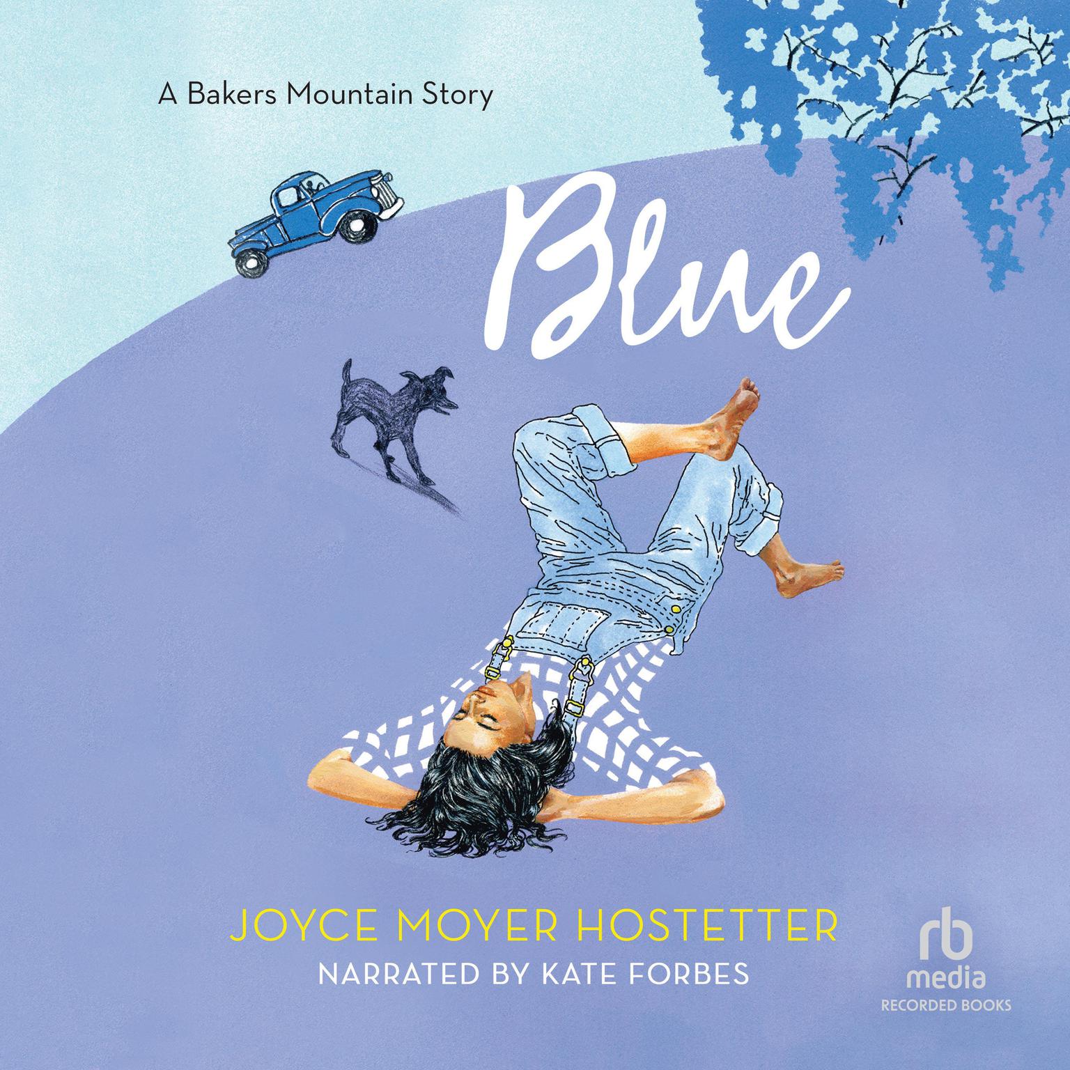 Blue Audiobook, by Joyce Moyer Hostetter