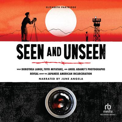 Seen and Unseen Audiobook, by Elizabeth Partridge