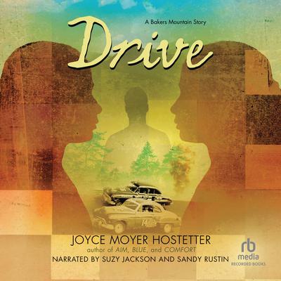 Drive Audiobook, by Joyce Moyer Hostetter