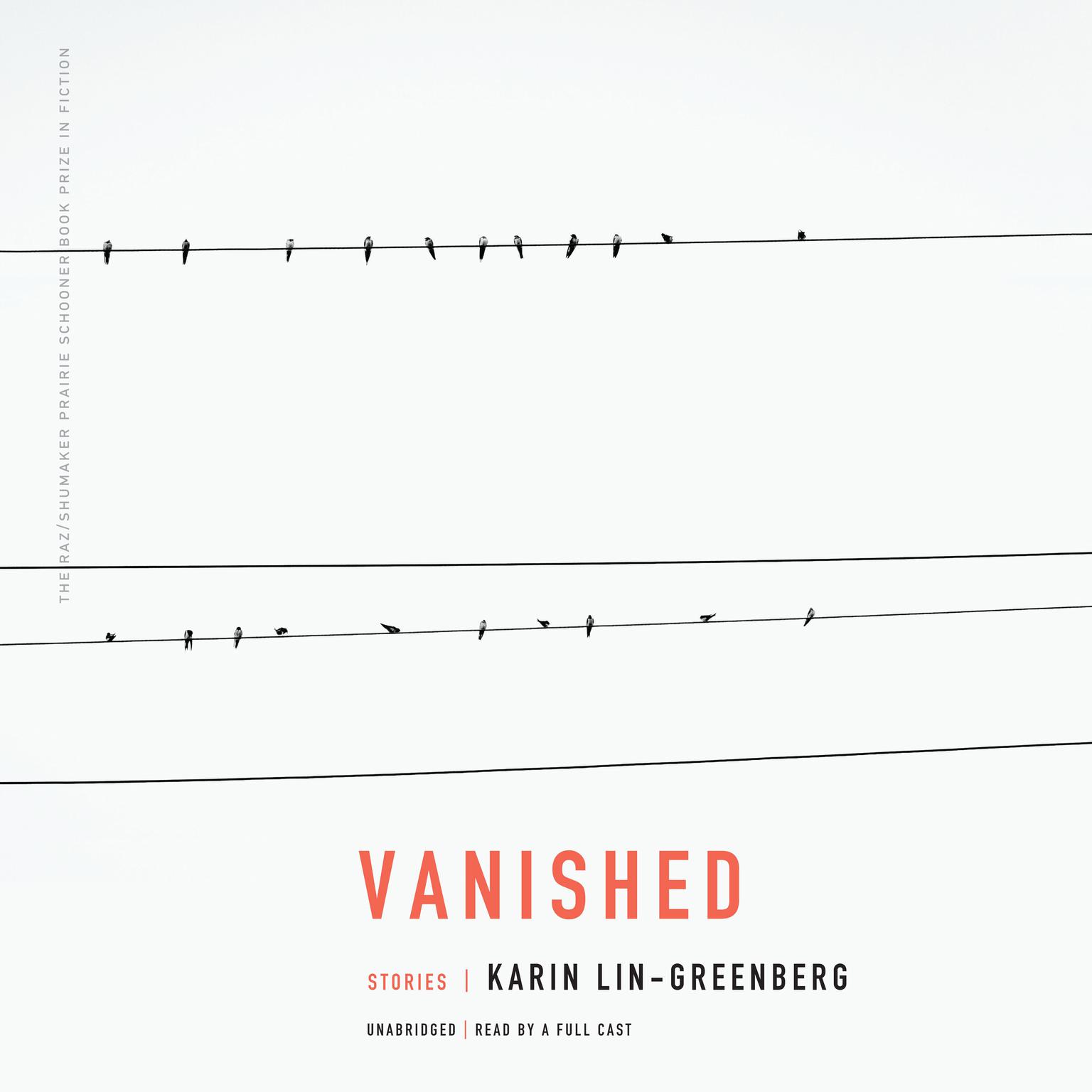 Vanished: Stories Audiobook, by Karin Lin-Greenberg