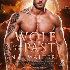 Wolf from the Past Audiobook, by N.J. Walters