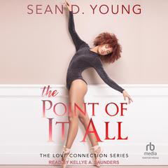The Point of It All Audiobook, by Sean D. Young