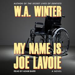 My Name is Joe LaVoie Audiobook, by W.A. Winter