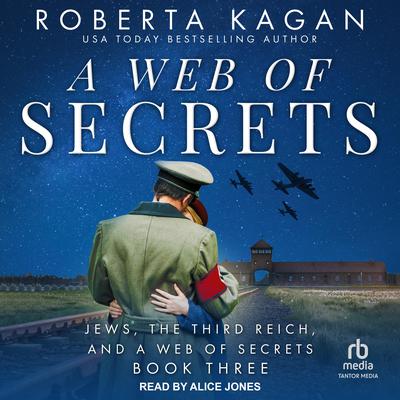 A Web of Secrets Audiobook, by Roberta Kagan