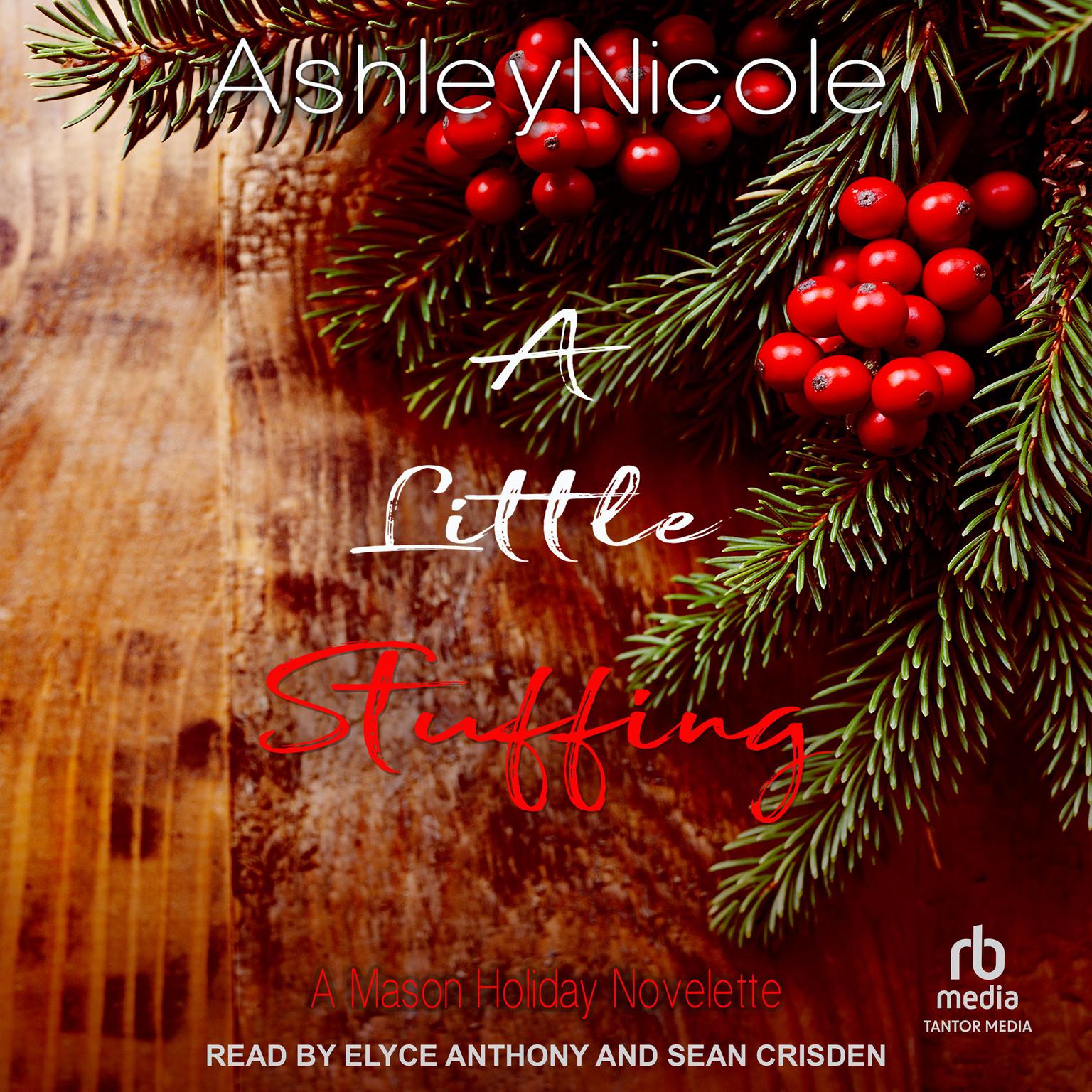 A Little Stuffing Audiobook, by AshleyNicole 
