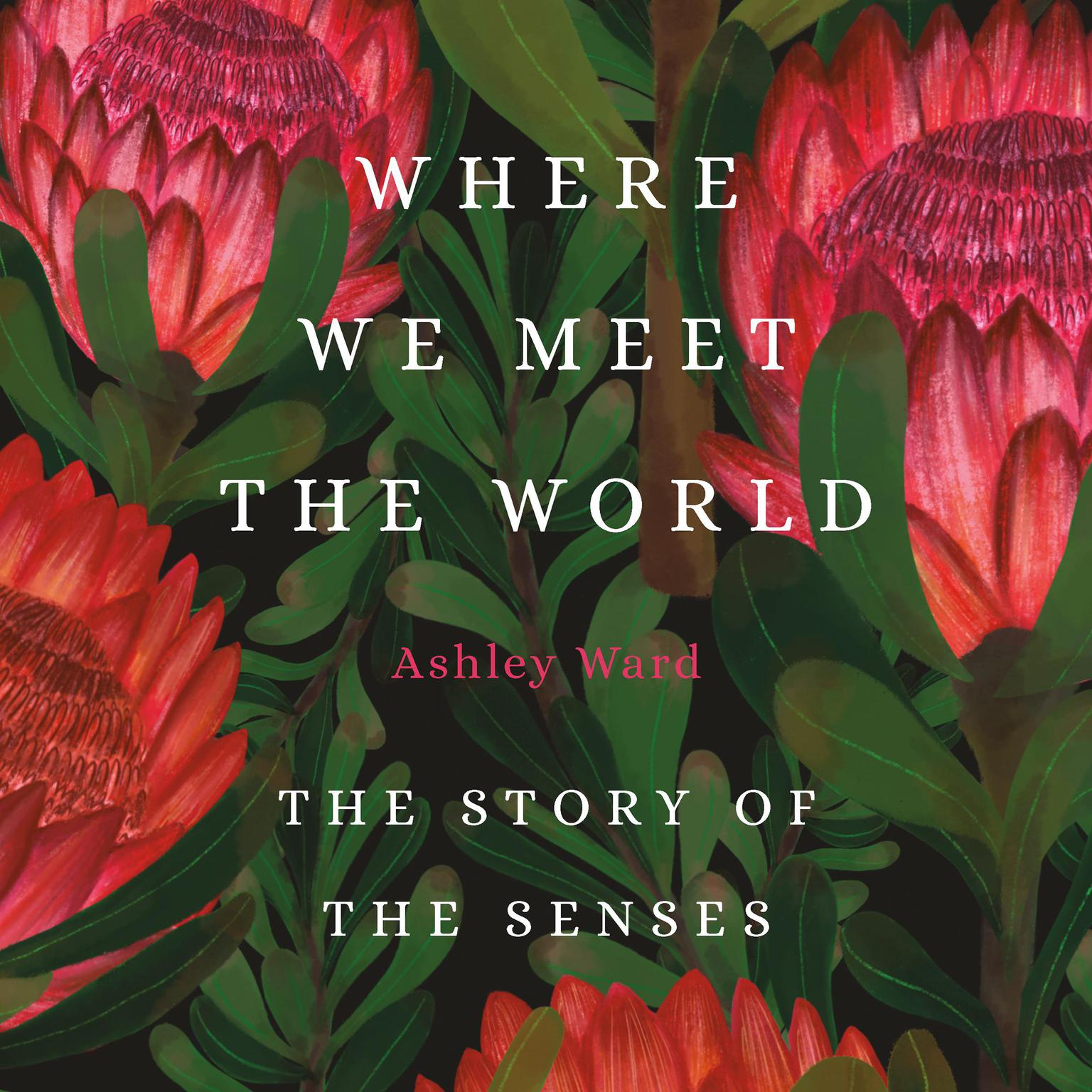 Where We Meet the World: The Story of the Senses Audiobook, by Ashley Ward