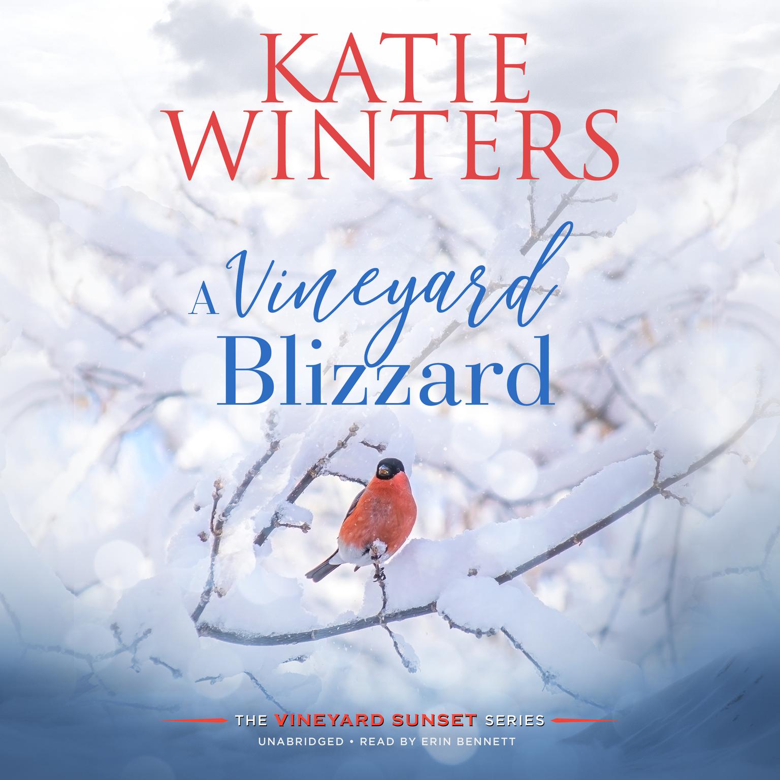 A Vineyard Blizzard Audiobook, by Katie Winters