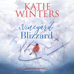 A Vineyard Blizzard Audiobook, by Katie Winters