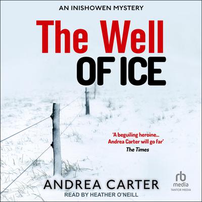 The Well of Ice Audiobook, by Andrea Carter