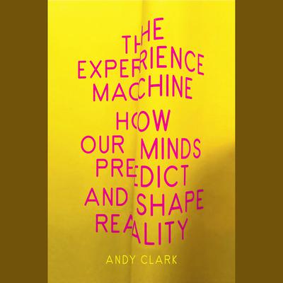 The Experience Machine: How Our Minds Predict and Shape Reality Audiobook, by Andy Clark