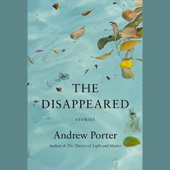 The Disappeared: Stories Audiobook, by Andrew Porter