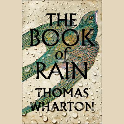 The Book of Rain Audiobook, by Thomas Wharton