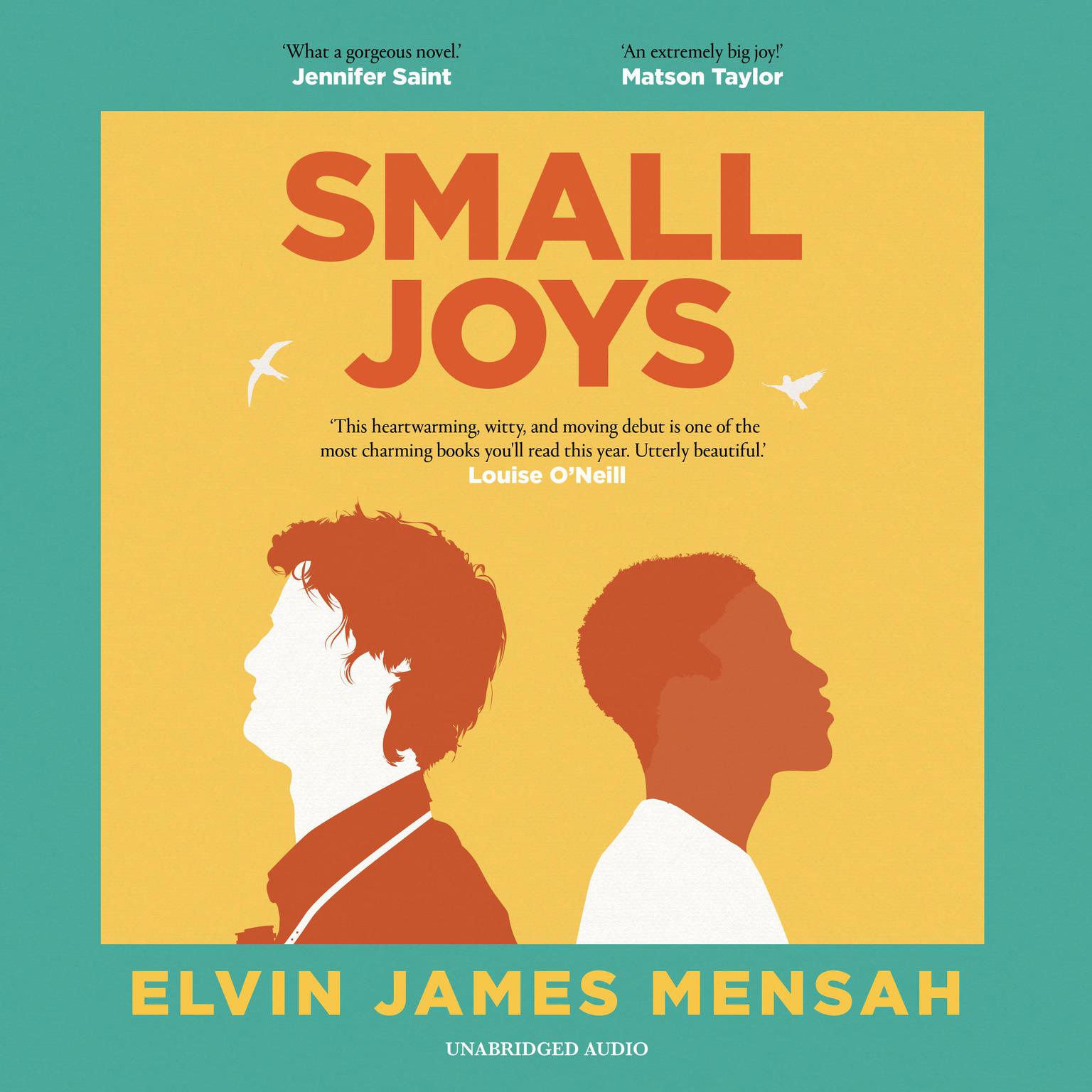 Small Joys Audiobook, by Elvin James Mensah